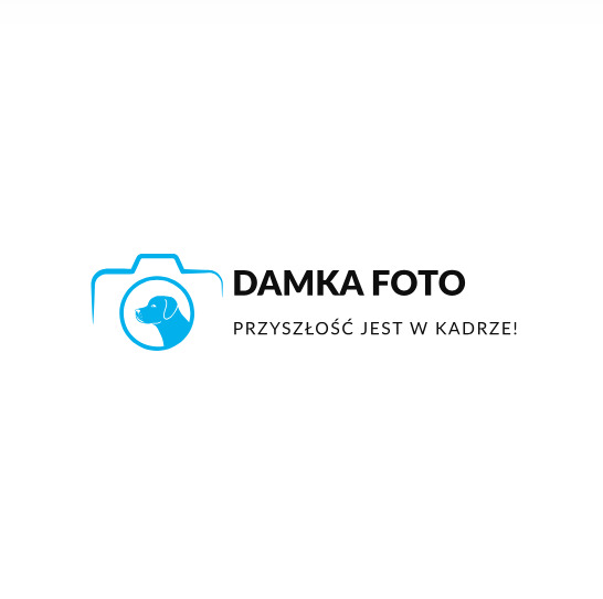 DamKa Foto Logo